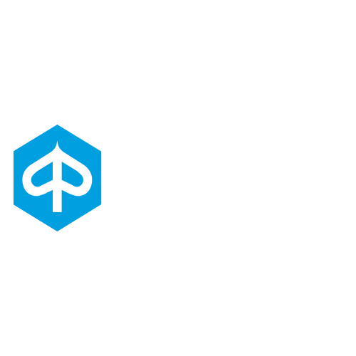 Piaggio Motorrad-Auspuffanlagen