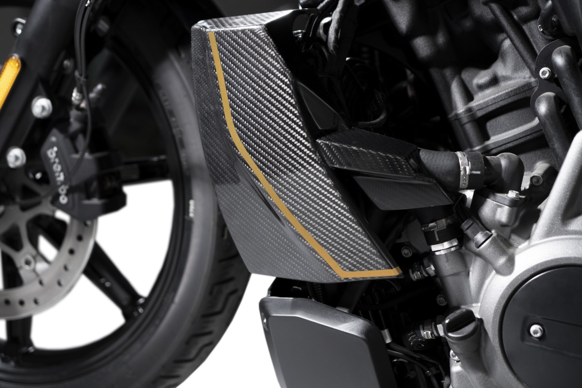 Carbon Kühlerabdeckung links + rechts / Kühlerstopfen-Abdeckung Aluminium 120th Limited Edition