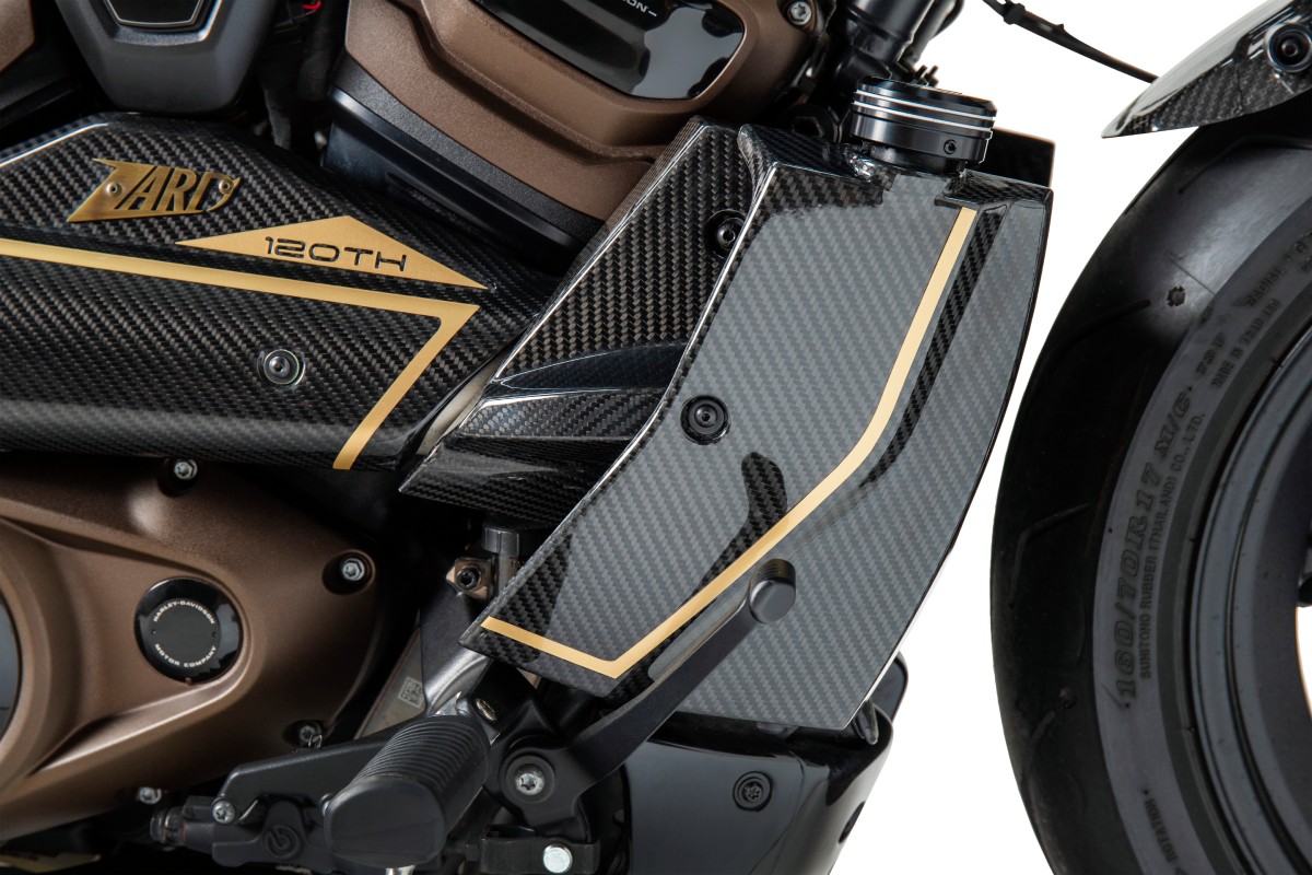 Carbon / Alu Parts 120th Limited Edition Bj. 2021-2025 Picture 4