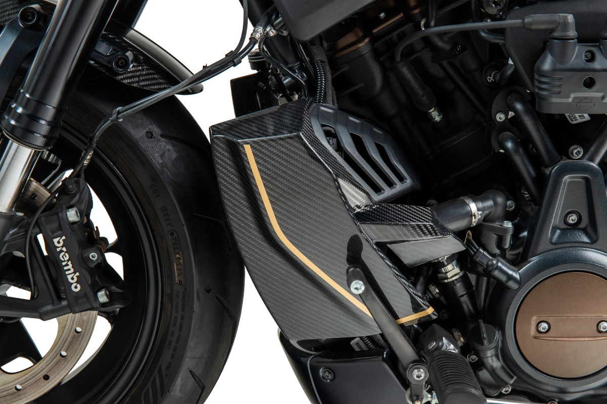 Carbon / Alu Parts 120th Limited Edition Bj. 2021-2025 Picture 7