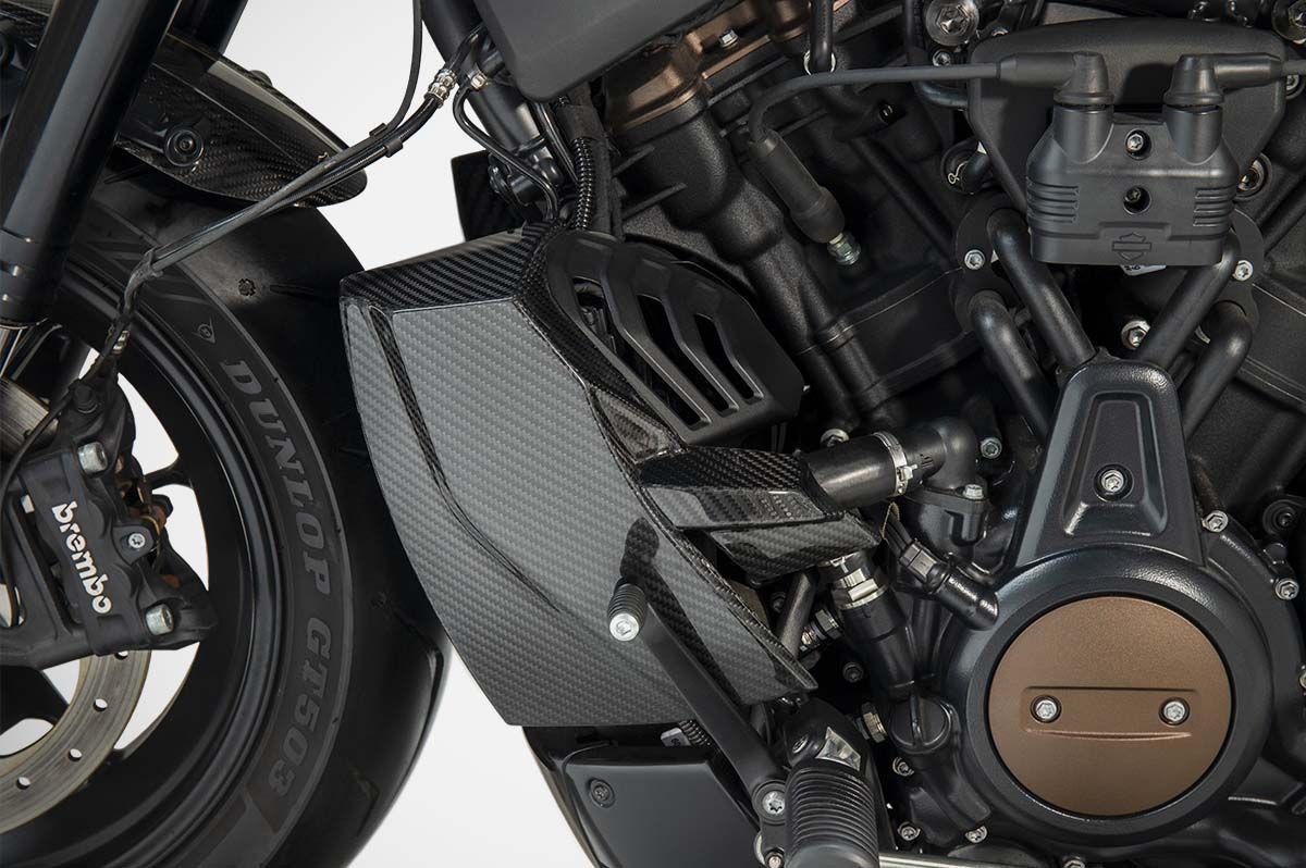 Carbon / Alu Parts black Bj. 2021-2025 Picture 2