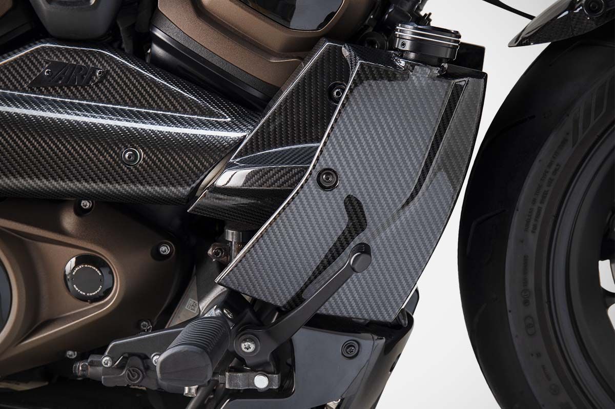 Carbon / Alu Parts black Bj. 2021-2025 Picture 3
