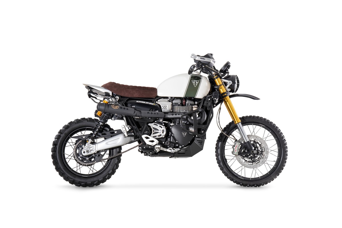 Saddlebag Racks Picture 4